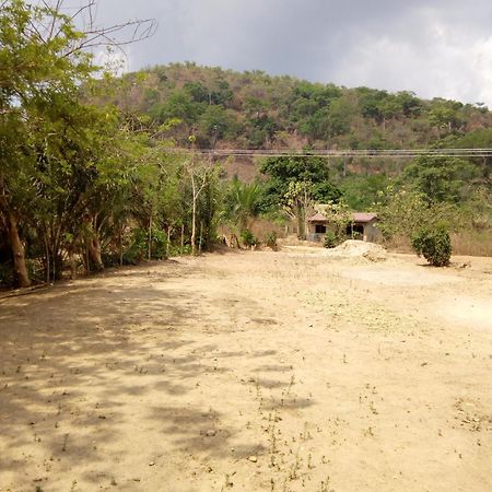 Wli Waterfalls Inn Wli Afegame 外观 照片