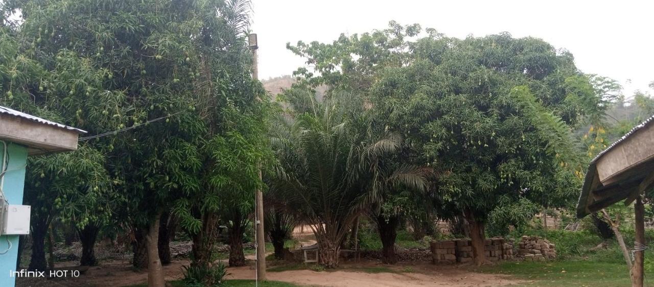 Wli Waterfalls Inn Wli Afegame 外观 照片