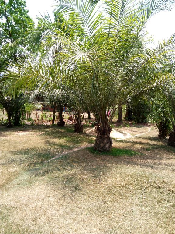 Wli Waterfalls Inn Wli Afegame 外观 照片